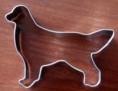 cookie cutter Golden Retriever